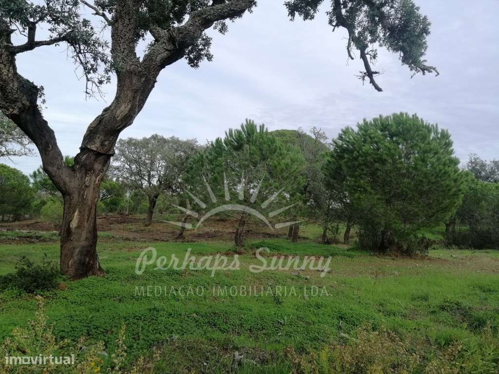 Terreno Rústico em Sobreiras Altas - Melides-10