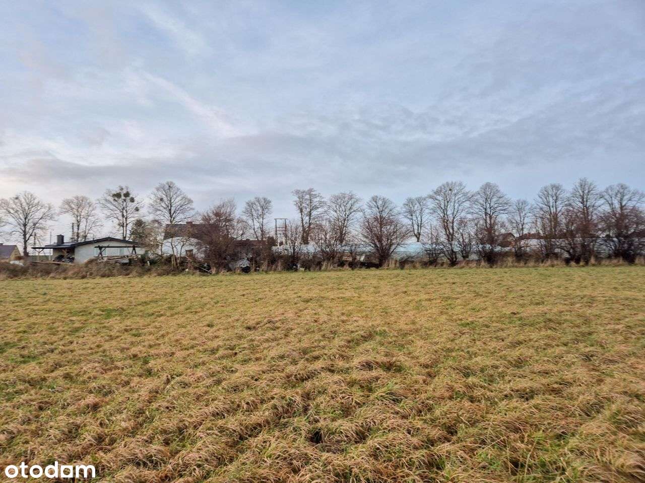 Działka, 1 336 m², Rybno-11