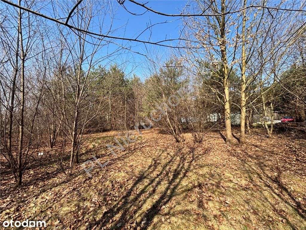 Spokój, natura i wygodny dojazd do miasta. - Pełny obrazek: 4/5