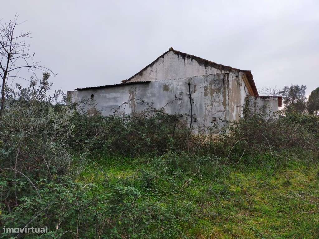 QUINTA COM 5HA DE TERRENO COM 500M2 URBANO - GALVEIAS - PONTE DE SOR-9