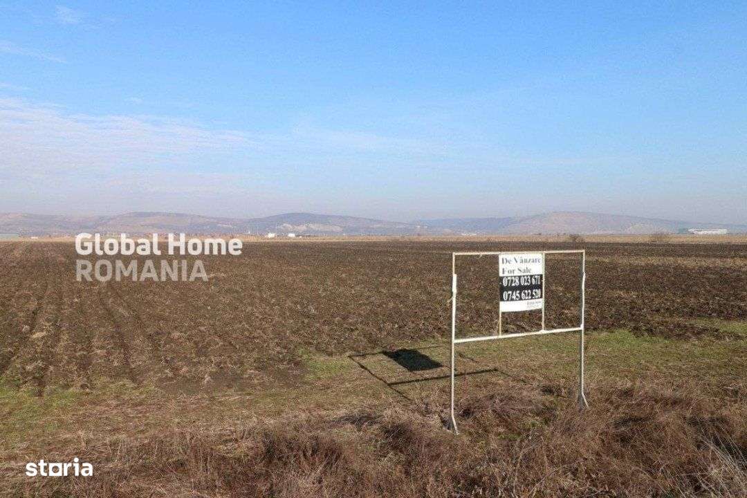 Teren 25000 MP | TG. MURES-SANPAUL | INTRAVILAN | 98 m acces DN 15 | A - Imagine principală: 3/9