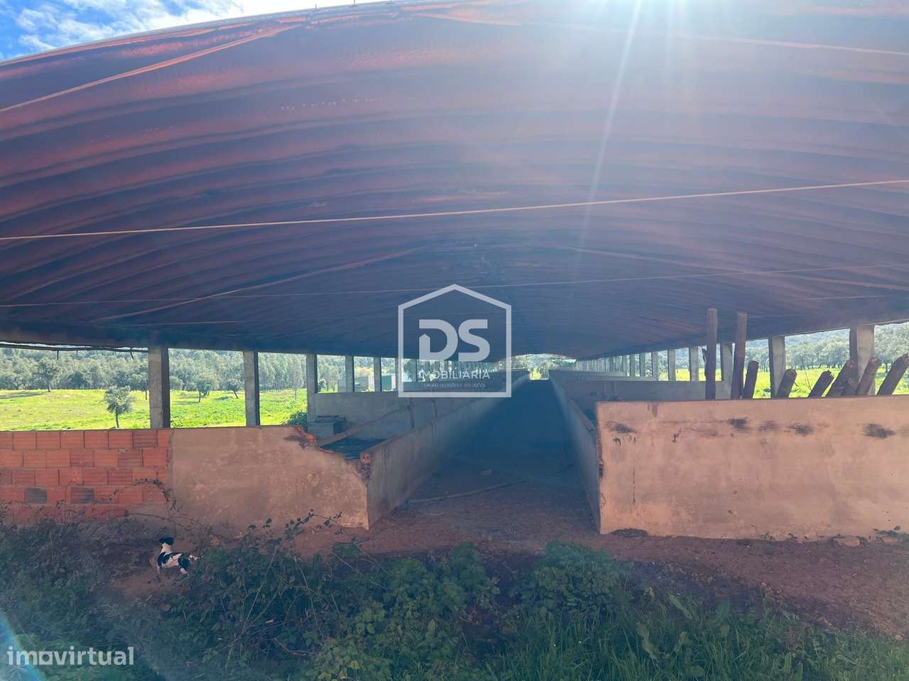 Herdade  Venda em Raposa,Almeirim-12