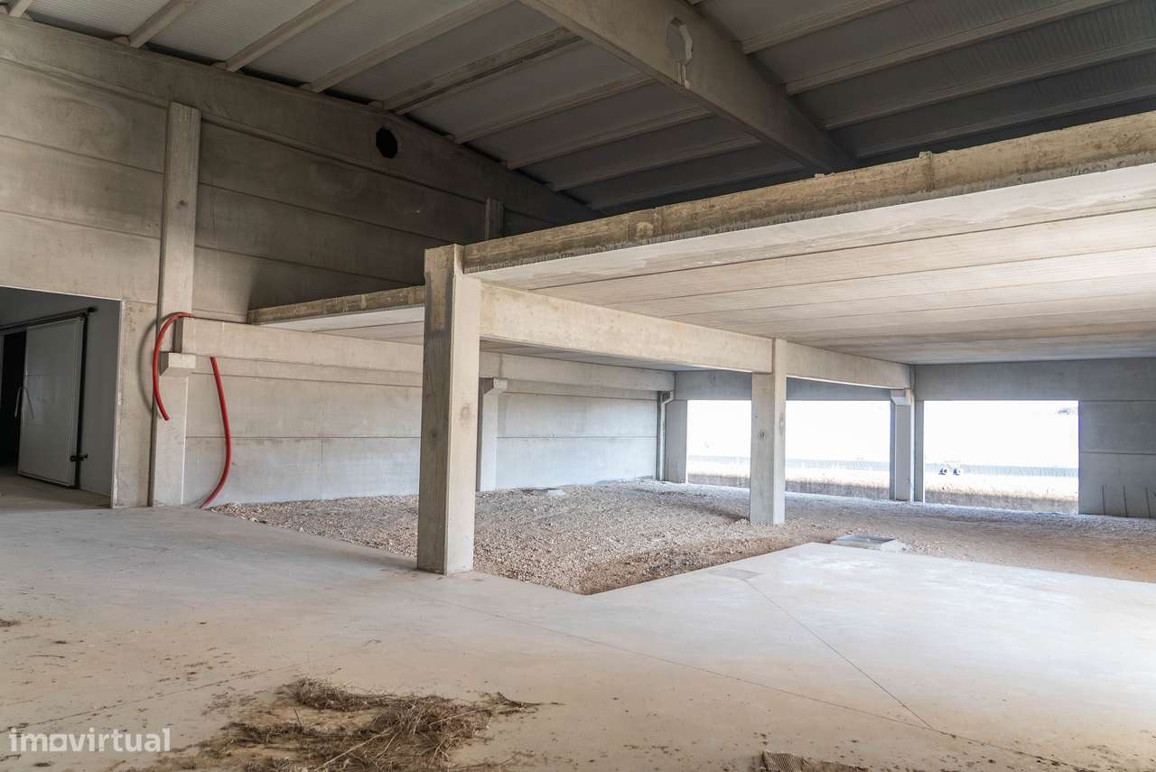 Entreposto em A-dos-Cunhados 8040m2-9
