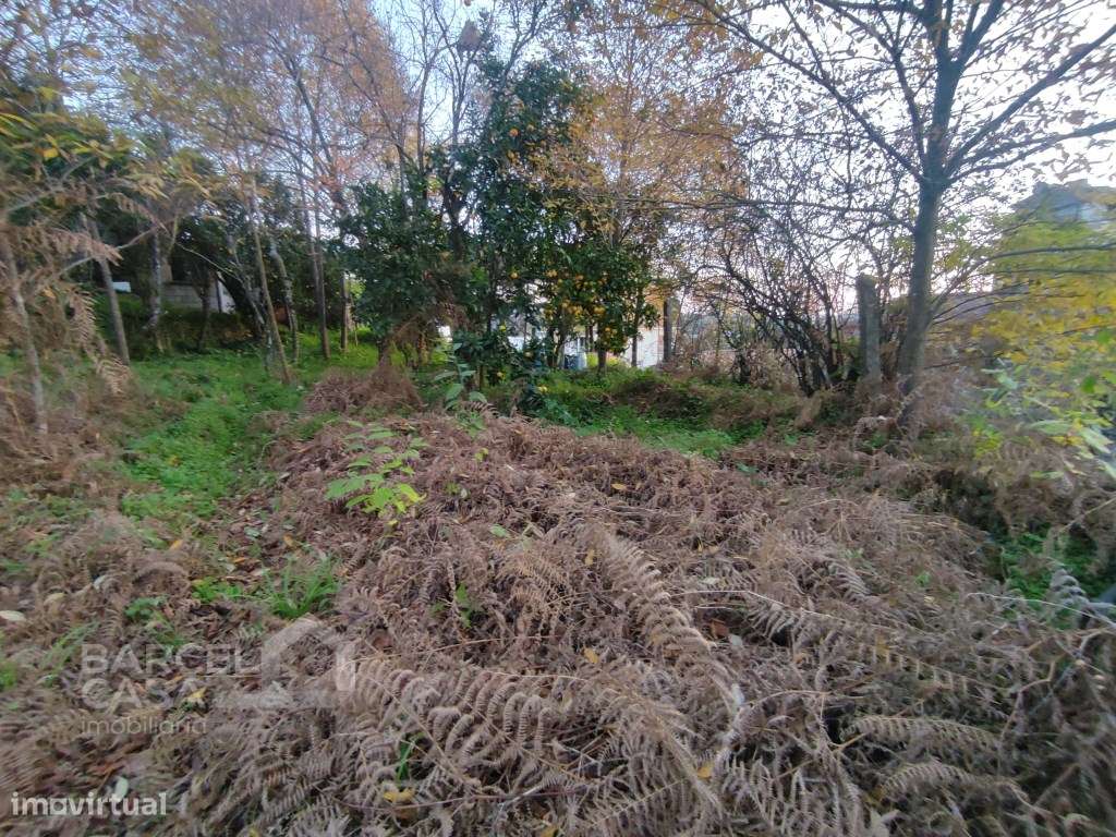 Terreno de construção em Mariz - Barcelos-5
