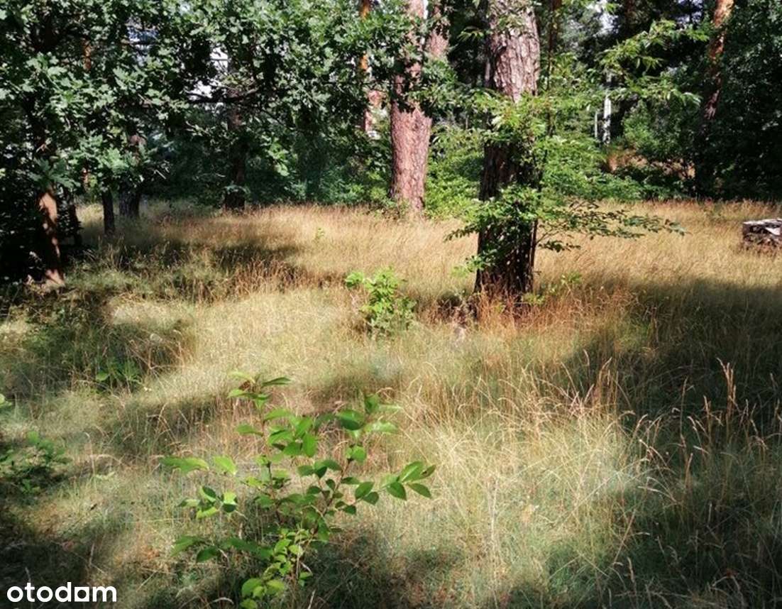 Działka pod zabudowę LICYTACJA - Pełny obrazek: 4/5