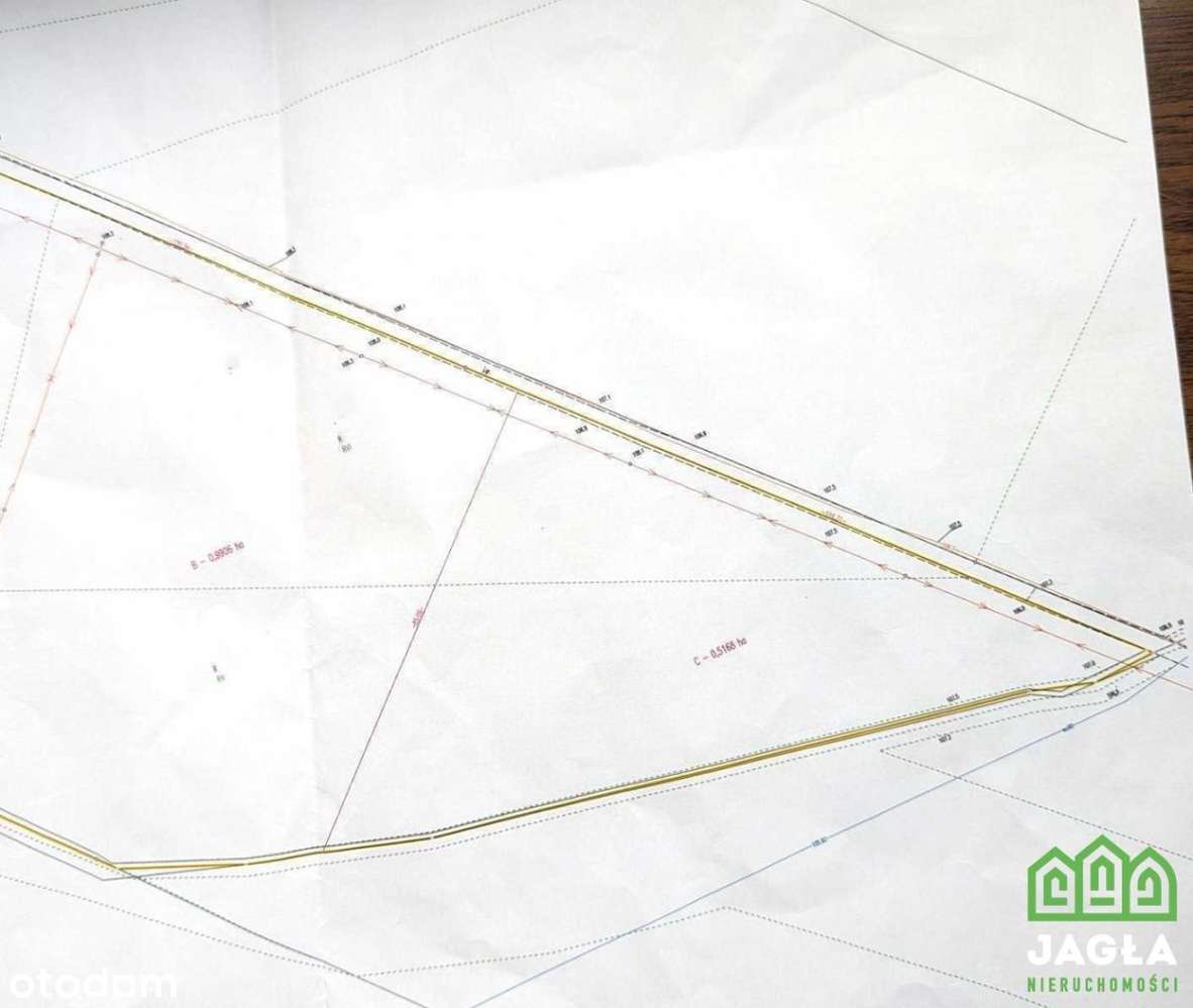 Ostrowite gm.Lniano działka 5168m2 Jez. Ostrowite - Pełny obrazek: 5/5