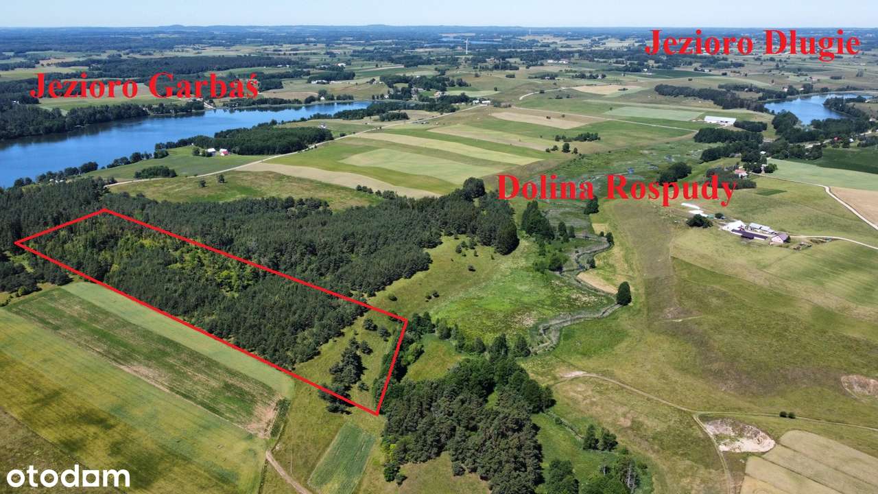 Filipów - grunt 5,75 ha - Pełny obrazek: 4/6