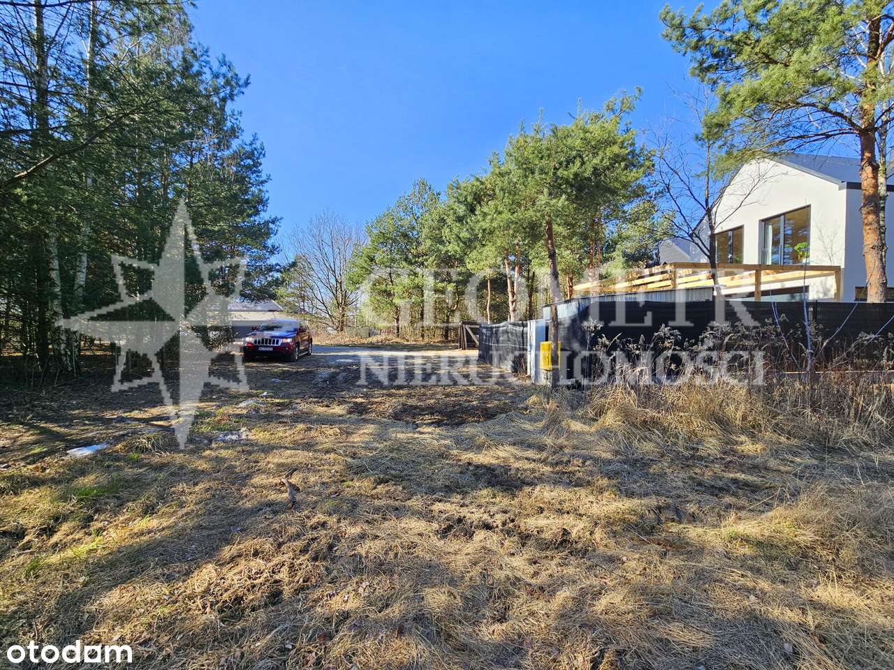 bezpośrednio pod lasem - Pełny obrazek: 4/7