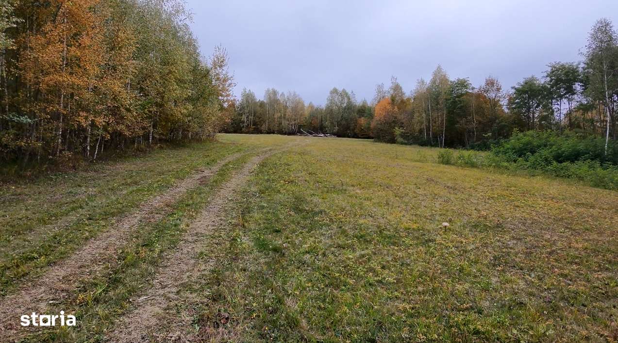 Teren cu energie specială/Fagaras/Plata in max 3 rate-5