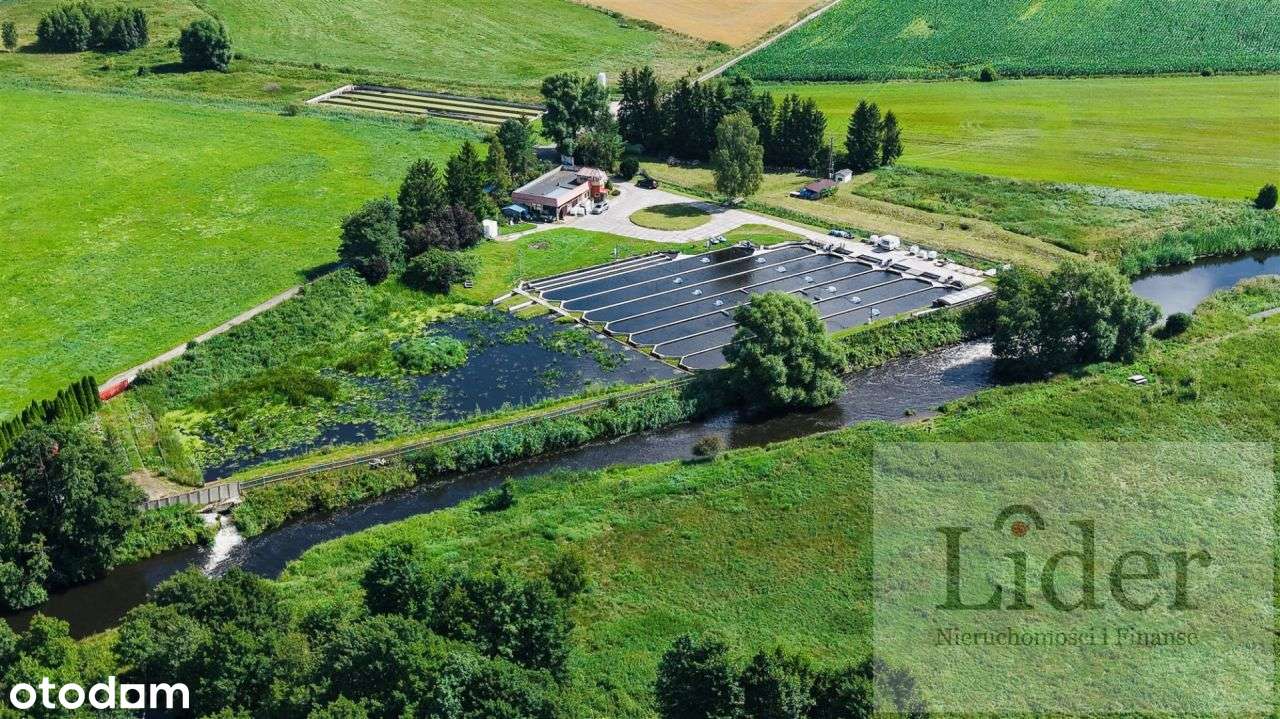 Kompleks stawów hodowlanych - Pełny obrazek: 5/20