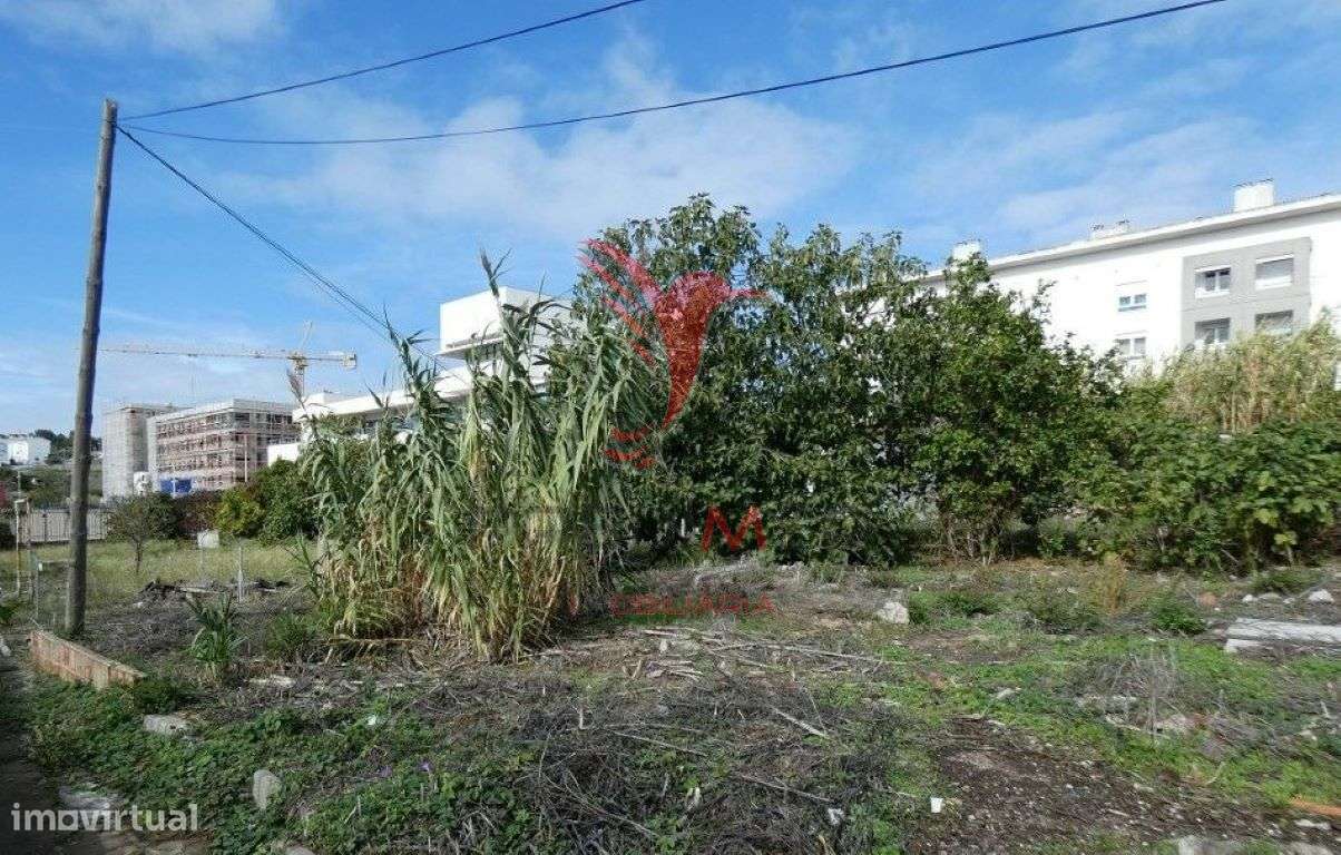 Lote/Terreno para construção de prédio na Ajuda - Grande imagem: 4/7