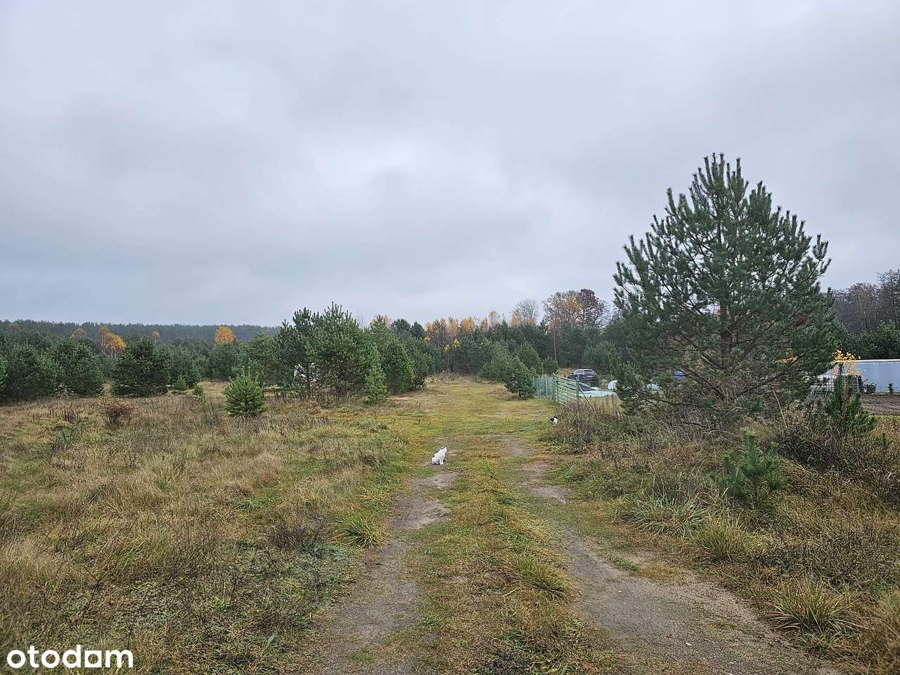 Łubiana | siedlisko i agroturystyka | otulina Wdzydzkiego Parku-2