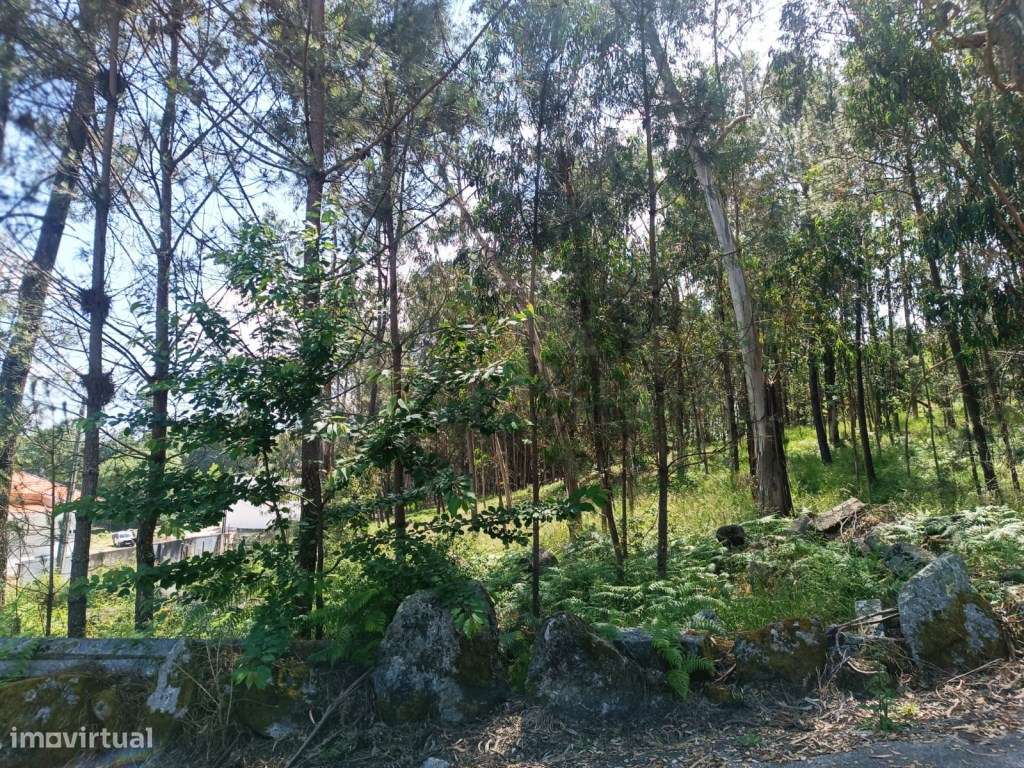 Terreno Urbano - Lote de gaveto - Grande imagem: 5/14