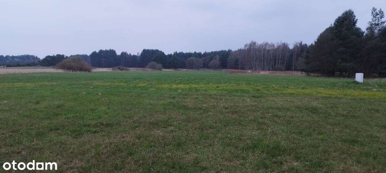 Działki budowlane w Malerzowie - woda, prąd - Pełny obrazek: 1/20