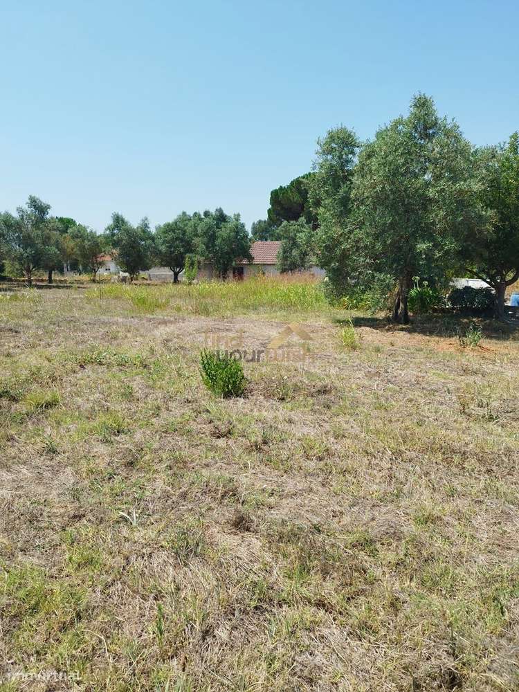 Terreno Urbano com 2.608m² em Moleanos-5