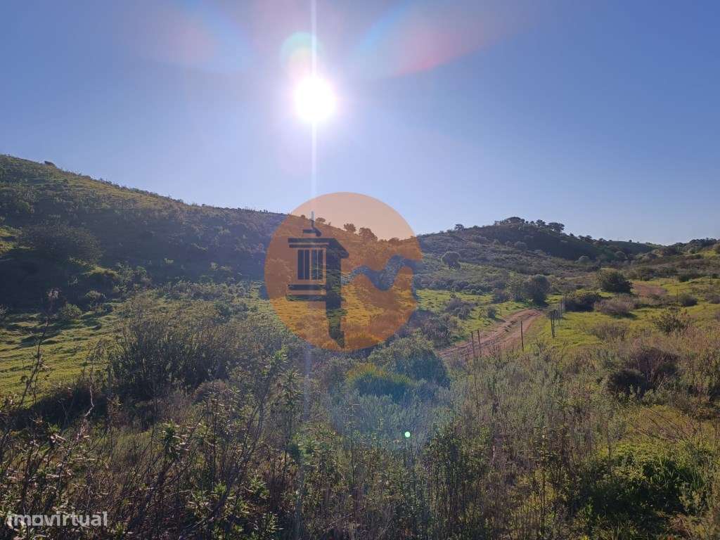 TERRENO COM 12.180 M2 - COM LICENÇA PARA FURO - PEDRA ARRANCADA - A... - Grande imagem: 3/24