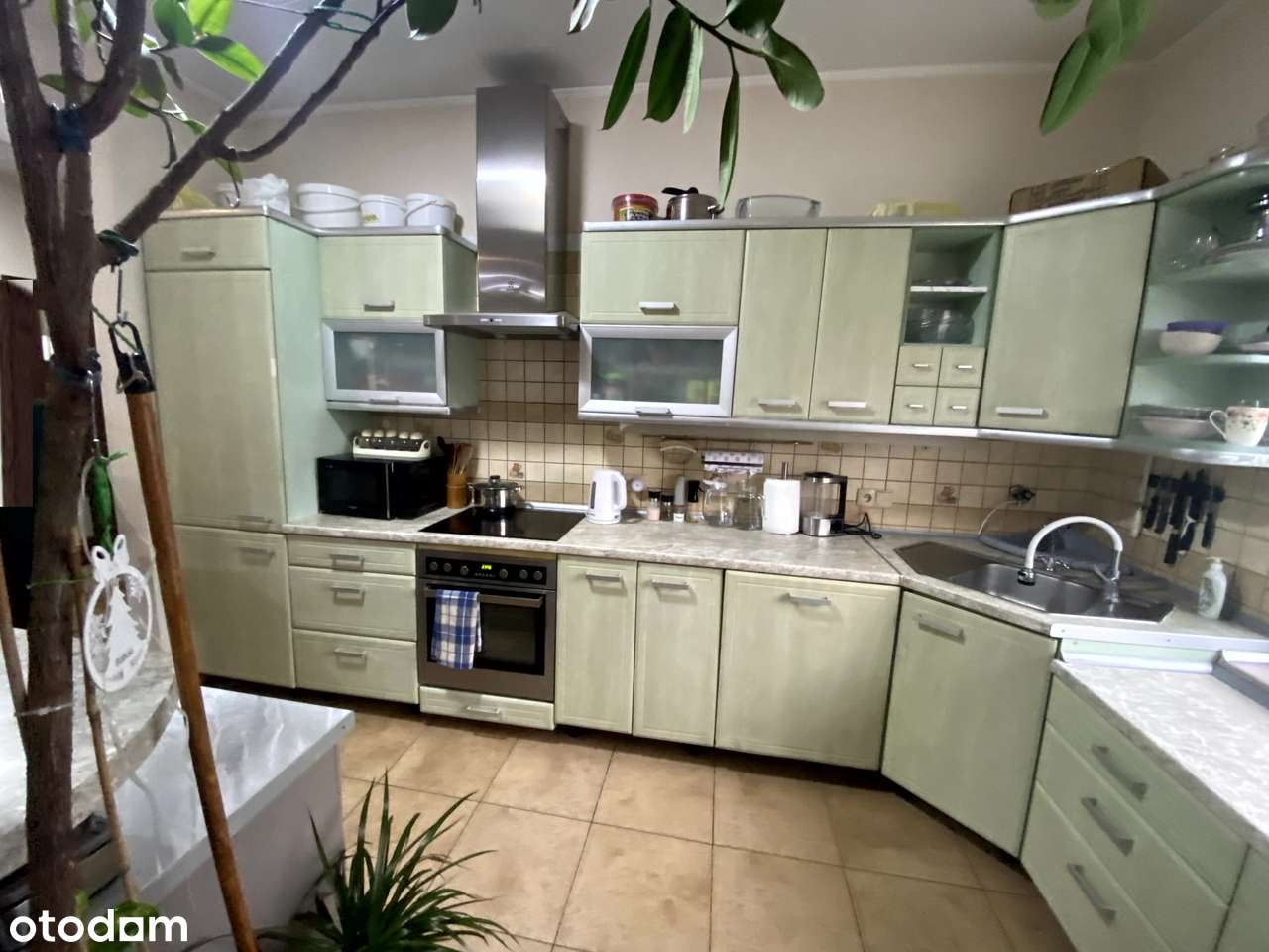 Zacharzew ul. Leśna-15