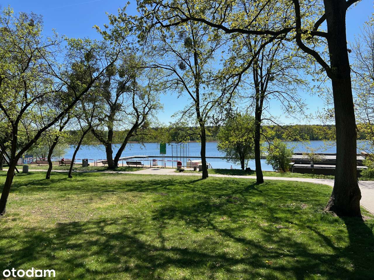 Lusowo- wyjątkowa działka nad jeziorem w pierwszej linii zabudowy - Pełny obrazek: 5/10