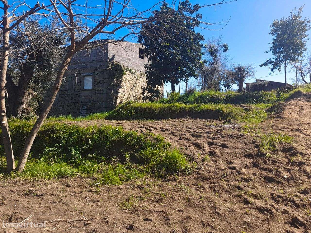 Quintinha - Grande imagem: 4/8