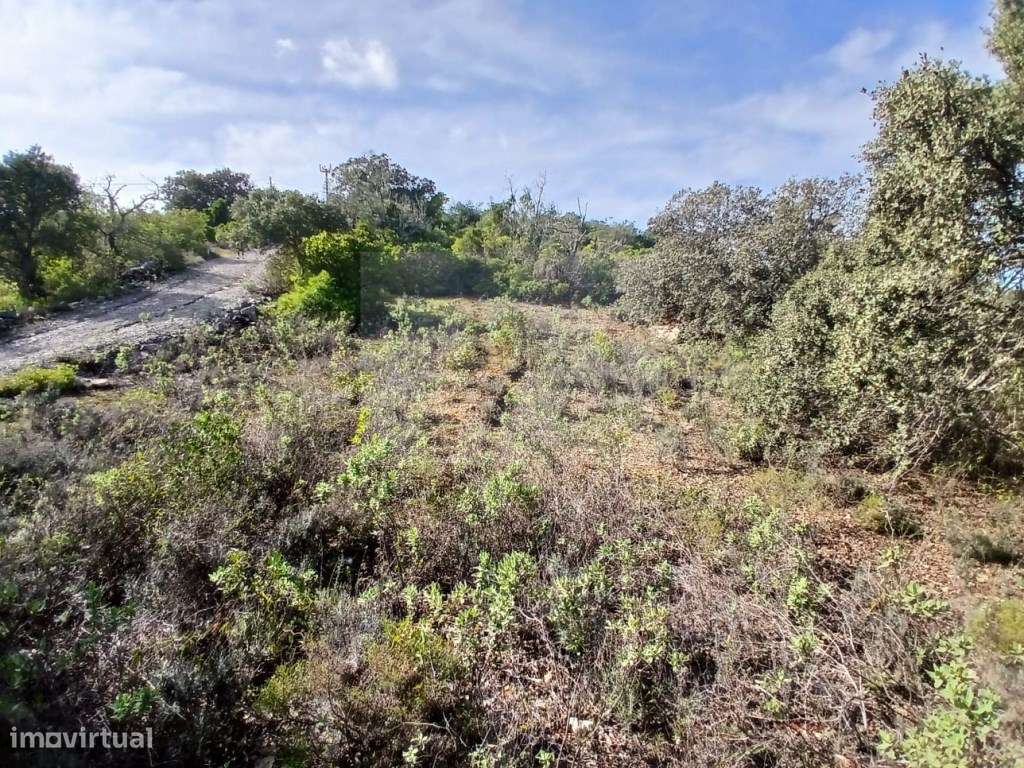Terreno rustico com fabulosa vista montanha e para a vila de São Br... - Grande imagem: 5/16