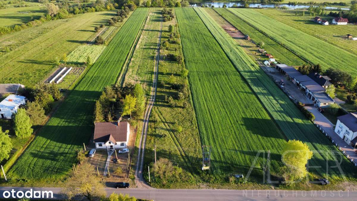 Działki budowlane w Brańszczyku | Blisko rzeki Bug - Pełny obrazek: 4/20