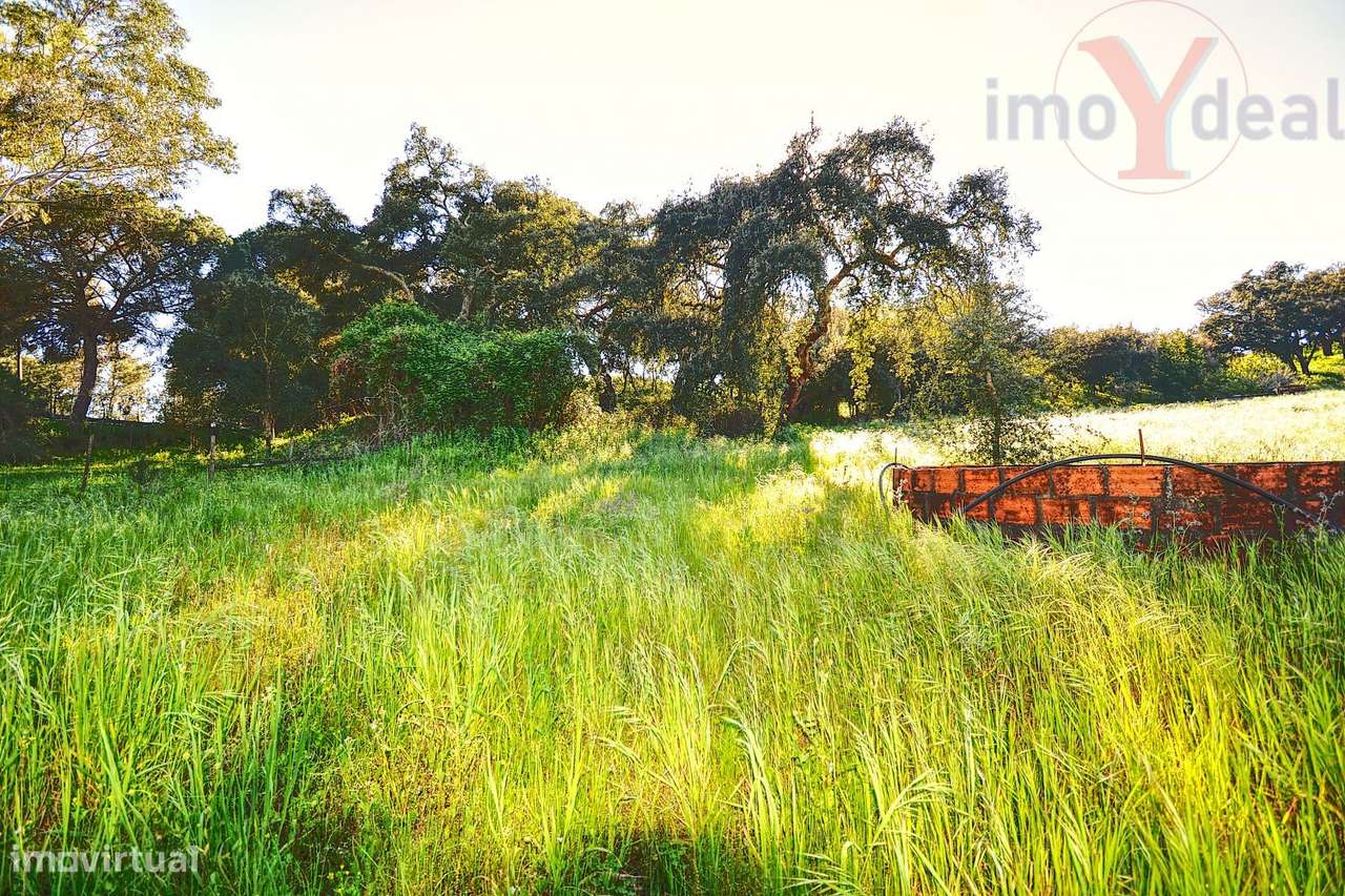 Quinta em Melides-13