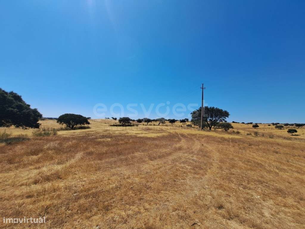 Terreno Rústico com 11 hectares no concelho de Almodôvar, totalment... - Grande imagem: 5/35