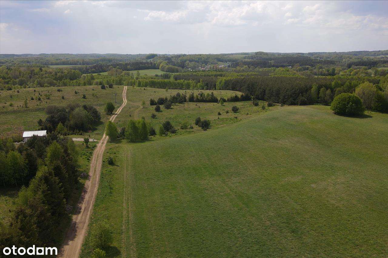 Kaszubska oaza ciszy i spokoju – duża działka z WZ, 45 min od  Gdańska - Pełny obrazek: 5/7