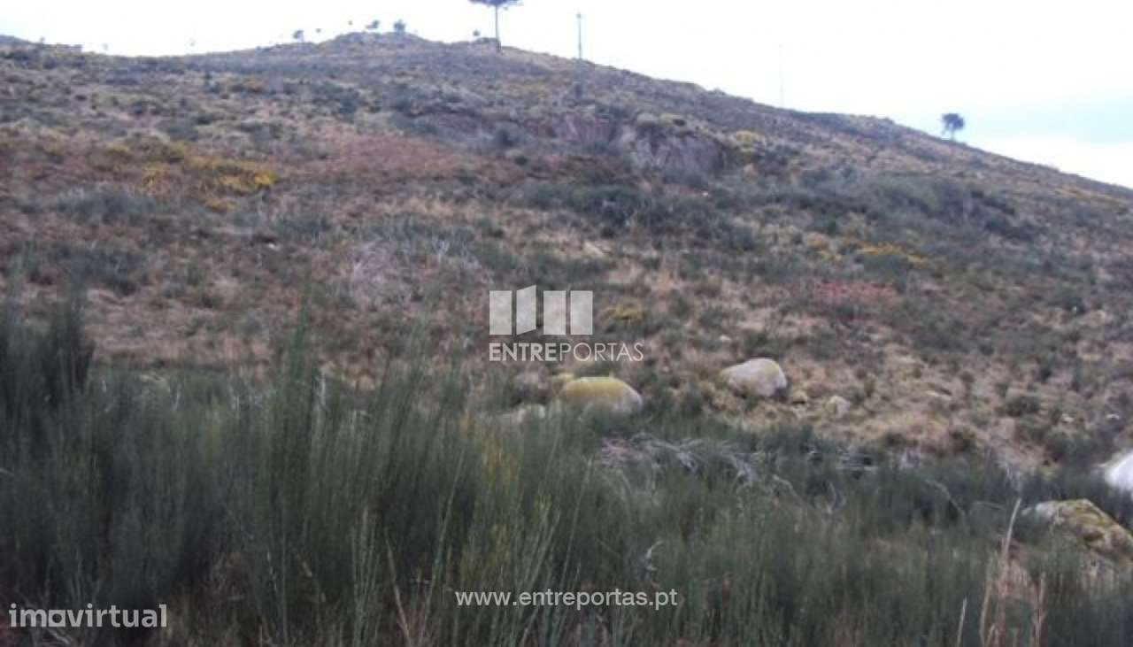 Venda Terreno, Banho e Carvalhosa, Marco de Canaveses - Grande imagem: 4/6