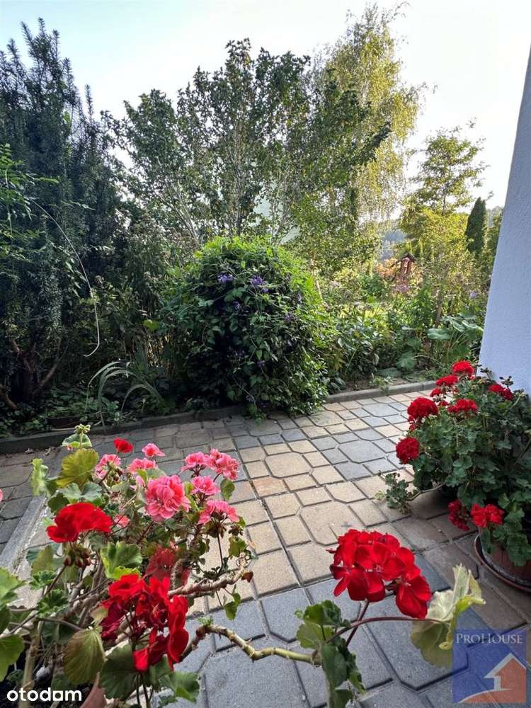 Dom, 130 m², Młynne-13