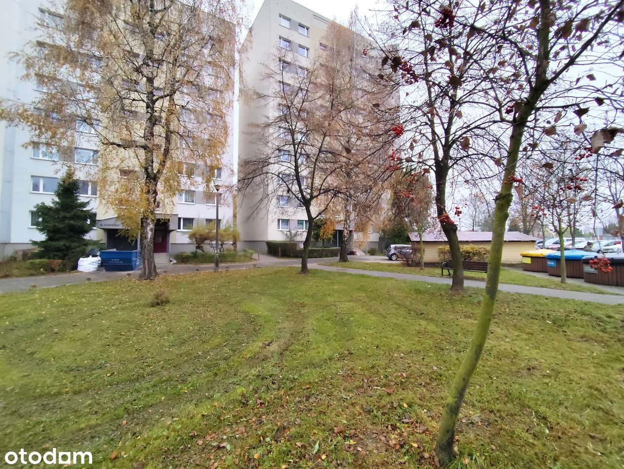 Kawalerka: 37 m2, parter z balkonem, miejskie, do remontu - Katowice-14