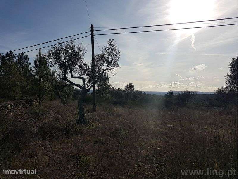 Terreno Cebolais de Cima Torres Vedras - Grande imagem: 4/6