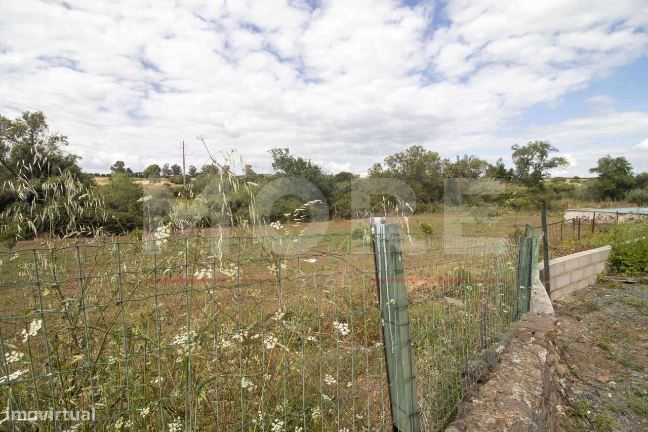 Herdade - Alvito-56
