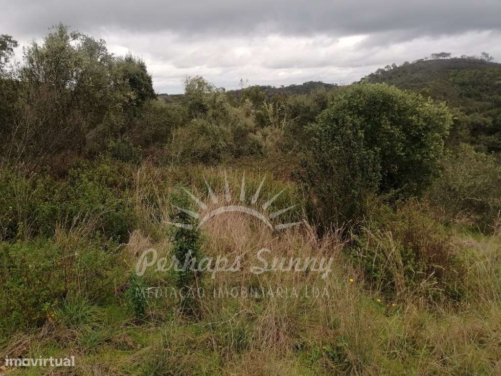 Quinta em Relíquias - Odemira-20