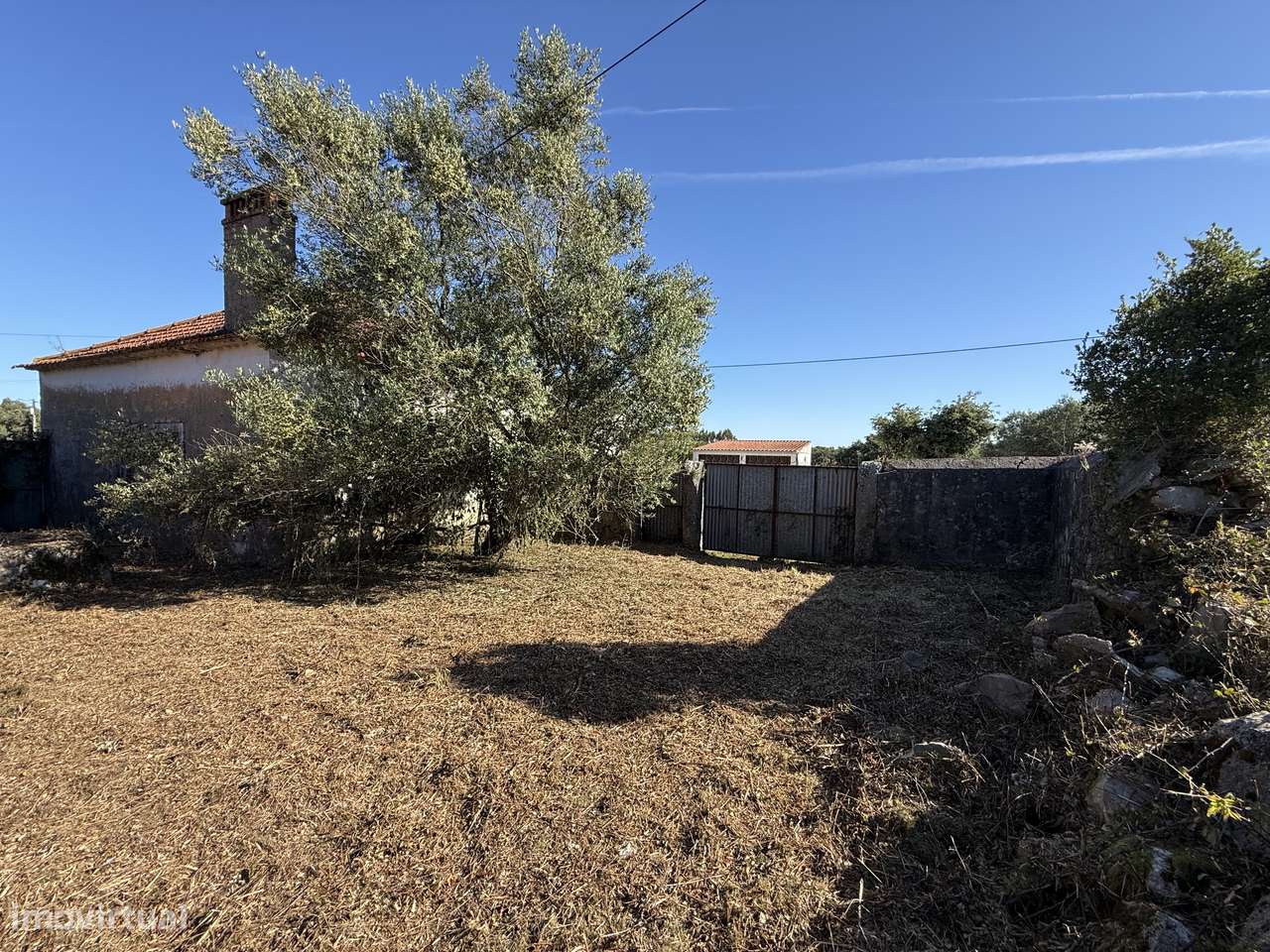 Terreno com casa e anexo para restaurar - Turquel, Alcobaça-23