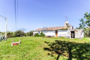 Terreno de 2.920 m2 c/ Casa de 60 m2 p/ Recuperar. - Grande imagem: 2/19