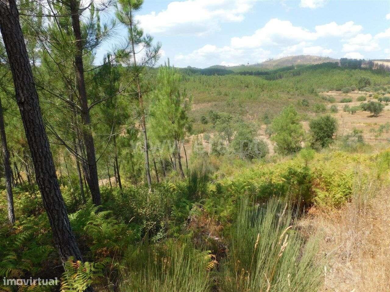 Terreno / Covilhã, Barco - Grande imagem: 4/13