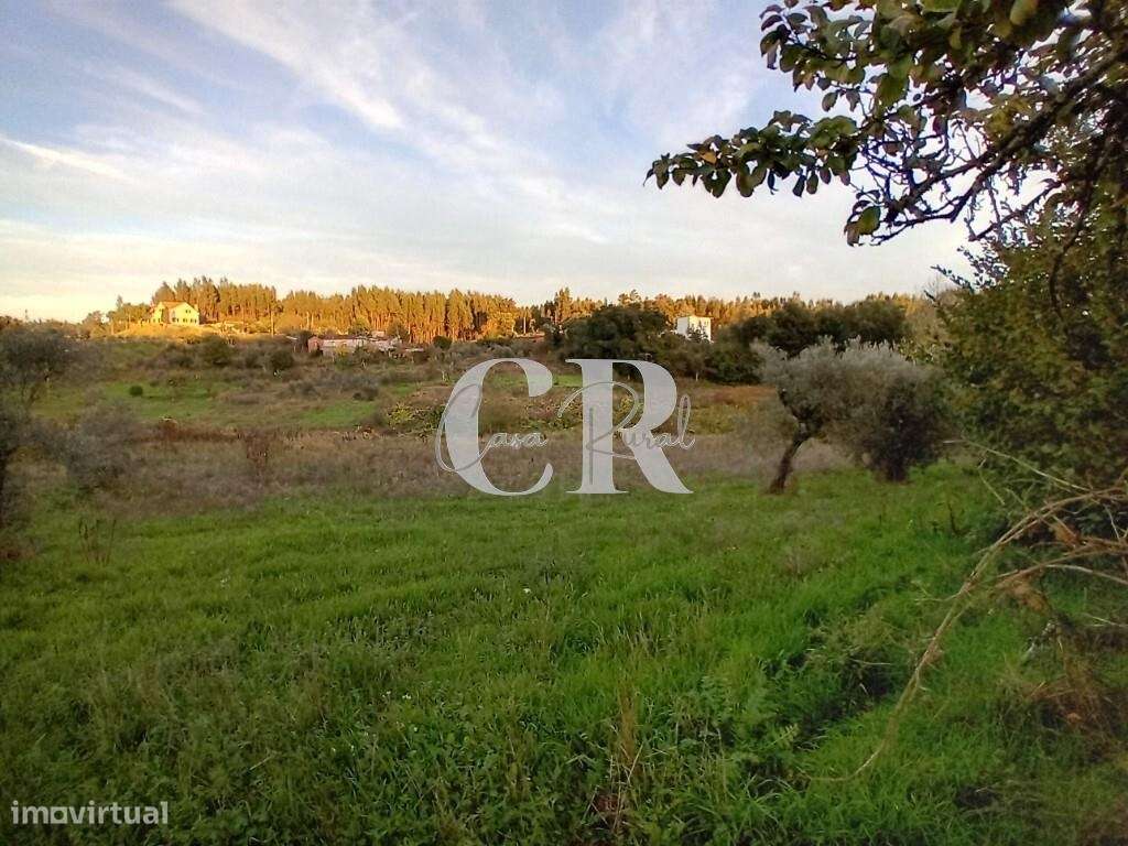 Moradia T3 com terreno pronta a habitar, logradouro e poço de água em-32