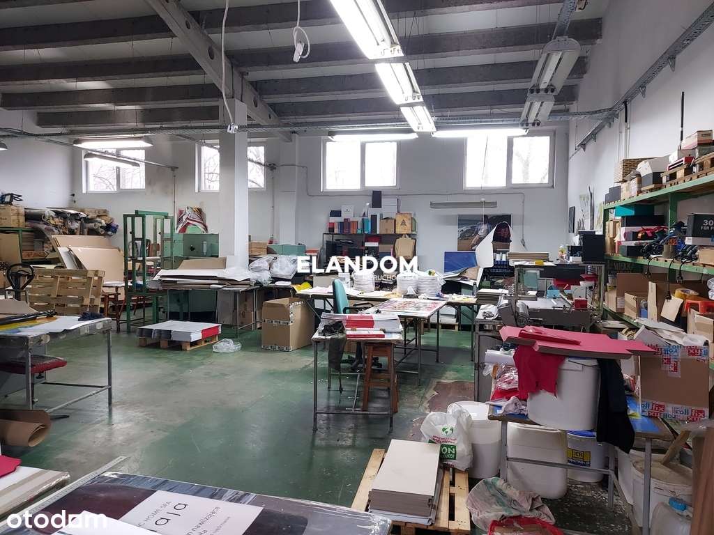 Hala produkcyjna na dużej działce - Pełny obrazek: 5/7