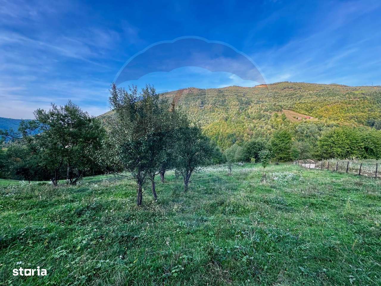 Teren 1812 mp de vânzare | Muntele Rece, cadru liniștit, Comision 0% - Imagine principală: 4/8