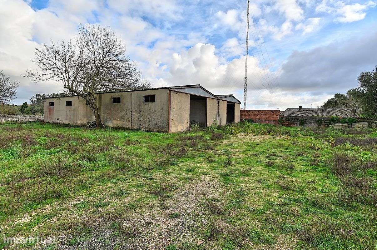 Armazém  para venda-8