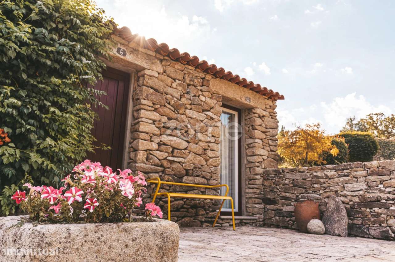 Quinta em Moimenta da Beira - um lugar ÚNICO - Turismo Rural ativo - Grande imagem: 2/20