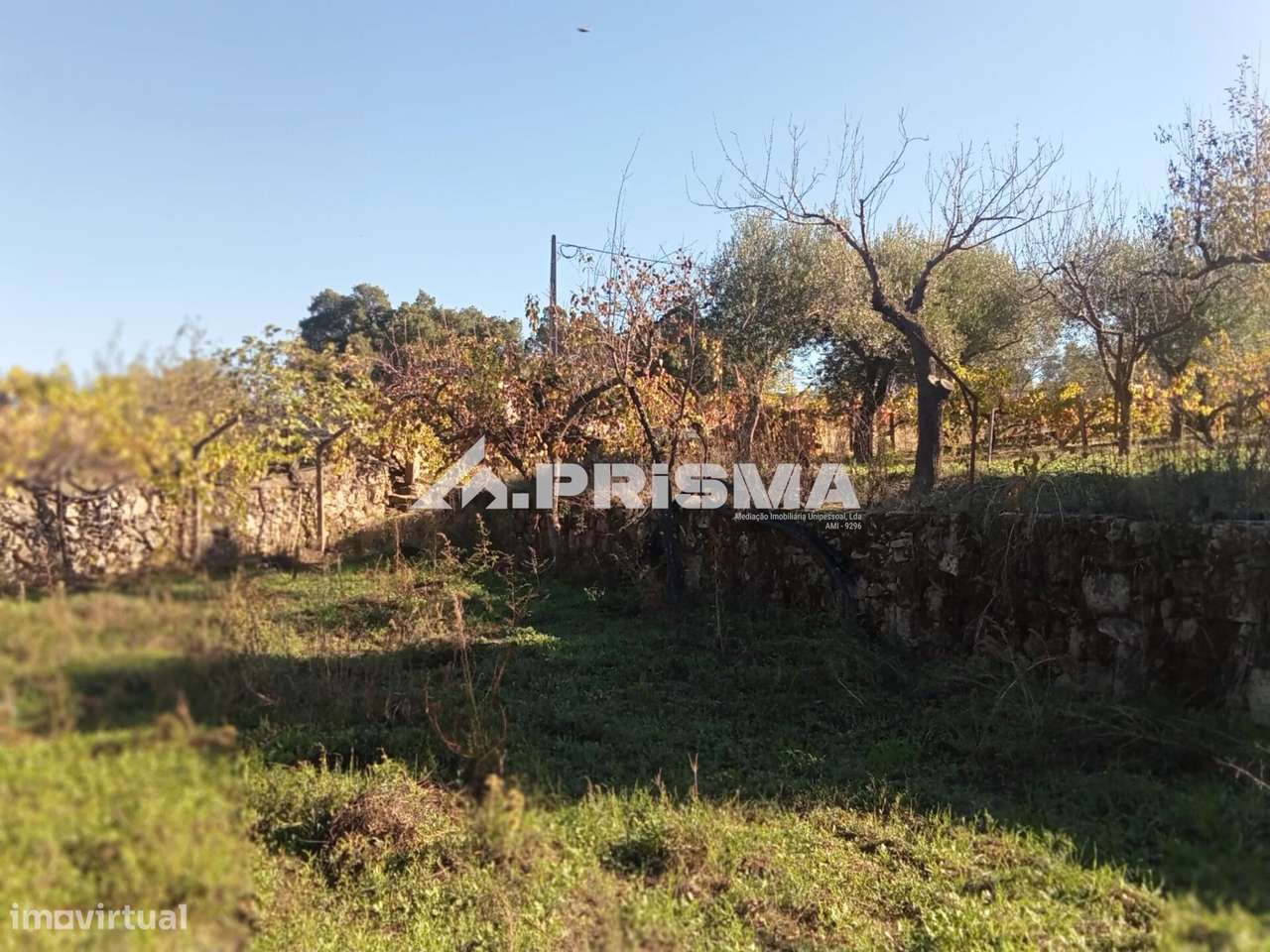 Quintinha para venda com construção rural para venda em Escalos de Bai-14