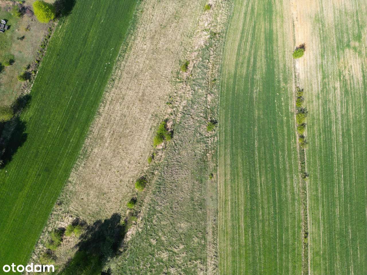 Działka w Rybniku-3