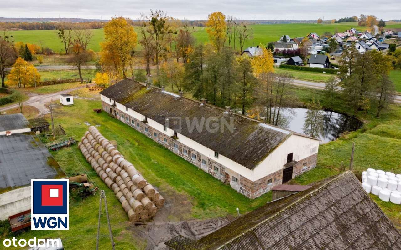 Na sprzedaż, Gospodarstwo Rolne- Ekologiczna Farma Mleczna, Wyczechowo-9