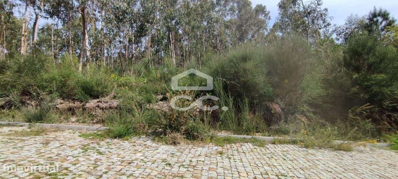 Terreno Para Construção, Baltar, Paredes - Grande imagem: 5/12