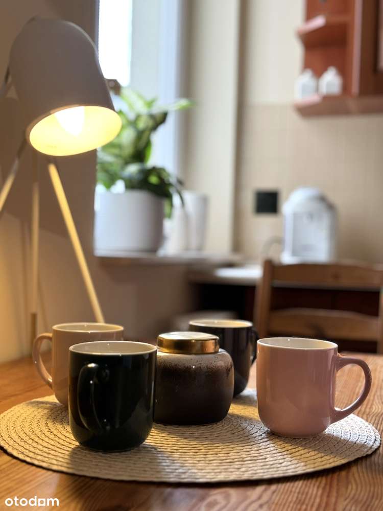 BEZPOŚREDNIO! 2 pokoje(55m2)+osobna KUCHNIA, Park - Pełny obrazek: 4/9