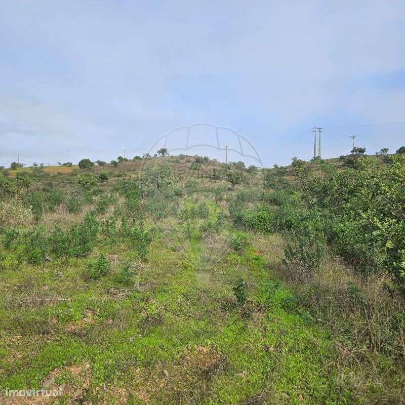 Terreno  para venda - Grande imagem: 4/19