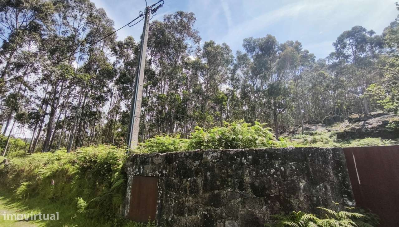 Venda de Quinta, Areosa, Viana do Castelo-23
