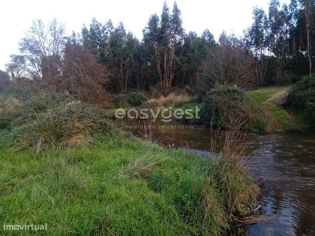 Excelente Terreno Rústico de 30200 m2 na freguesia de Castelo Branco - Grande imagem: 2/18